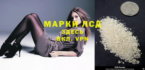 трава Корсаков